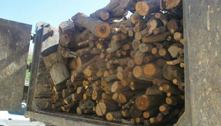 کشف چوب جنگلی قاچاق در کیار