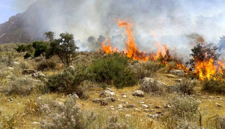 آتش‌سوزي دو هکتار از مراتع روستاي رستم آباد