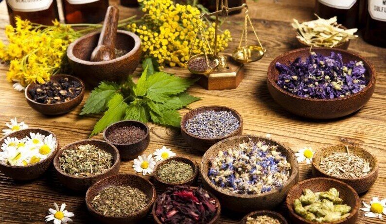 چهارمحال و بختیاری بکرترین رویشگاه گیاهان دارویی/ کرونا ویروس برداشت گیاهان دارویی را از مردم سلب کرد