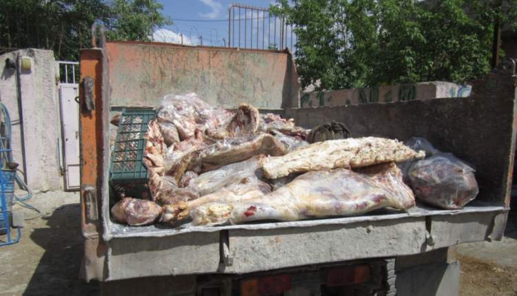 معدوم‌سازی بیش از 6 هزار کیلوگرم گوشت آلوده در بروجن + تصاویر