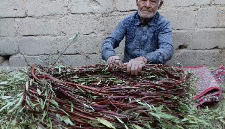 هنر دست مردان کهن در روزگار کرونايي