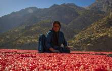 روستای دورک؛ بهشت یاقوت های قرمز