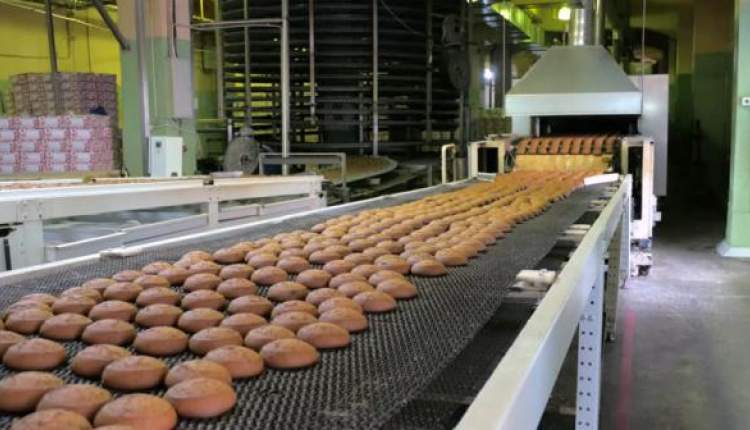نان صنعتی ناندیس تنها با ۱۰  درصد ظرفیت مشغول به کار است/ نبود سرمایه در گردش بزرگ ترین مشکل این کارخانه