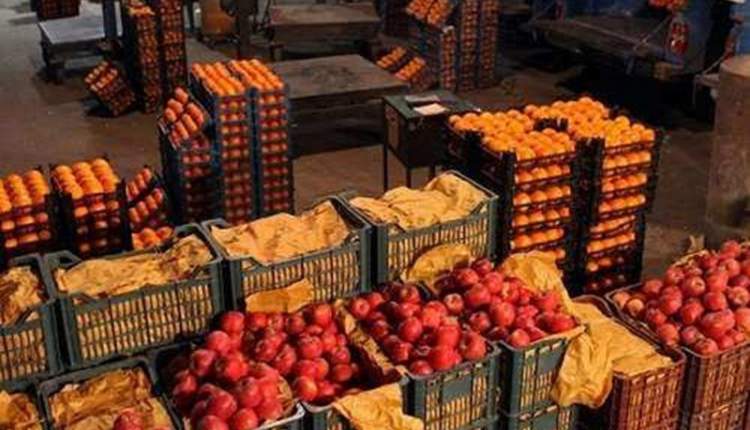 حضور فعال بسیجیان در توزیع میوه شب عید/ کیفیت میوه‌های طرح تنظیم بازار مطلوب است