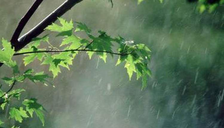 باران و باد، پدیده غالب در روزهای آینده در چهارمحال و بختیاری