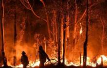 آتش غفلت‌های انسانی بر جان ریه‌های زمین/گرمای هوا و بیم افزایش خطر حریق در جنگل‌ها