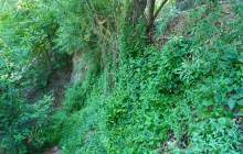 زیبایی مناظر سامان در قاب تصاویر  <img src="/images/picture_icon.png" width="16" height="16" border="0" align="top">
