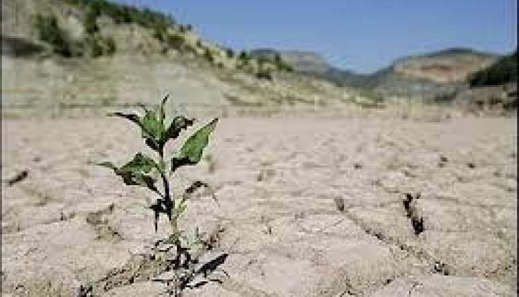 خشکسالی؛ نگرانی مردم و بی اعتنایی دولت