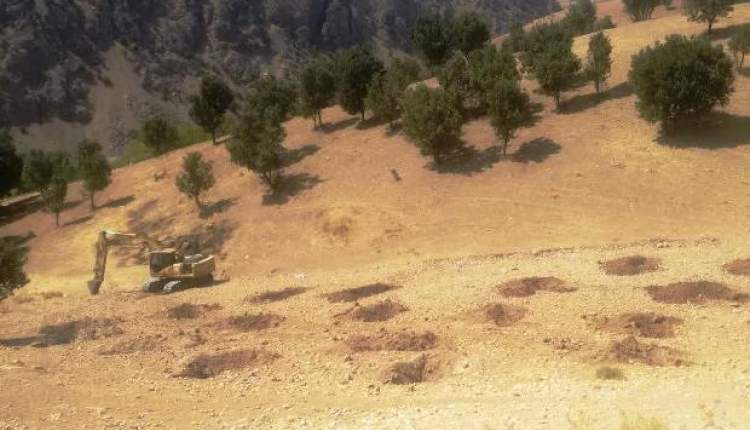 شهرستان اردل ظرفيت بالايي در زمينه احداث وتوسعه باغات دارد