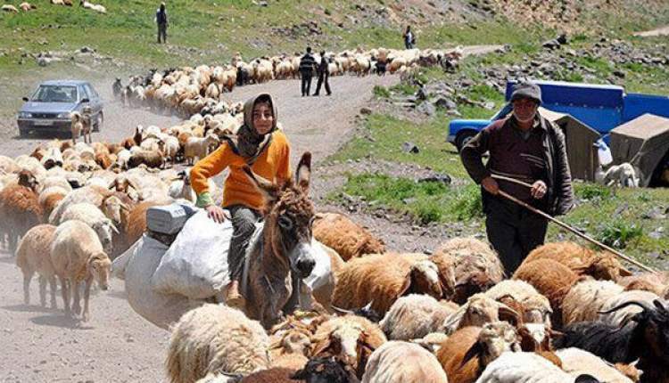 زندگی عشایر؛ از خطر کوچ در دوران کرونا تا پاسداری از طبیعت