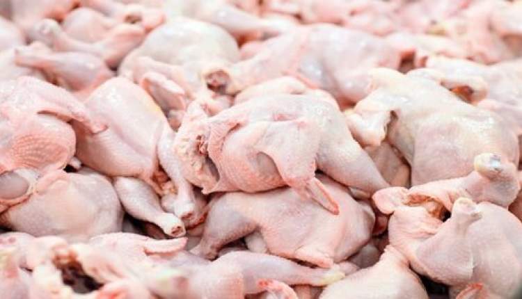 به دنبال ارتقا گرید گوشت مرغ مصرفی در بازار چهارمحال و بختیاری هستیم