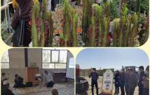 افزايش مهارت بهره‌برداران بخش كشاورزی شهرستان شهركرد با برگزاری آموزشهای مهارتی