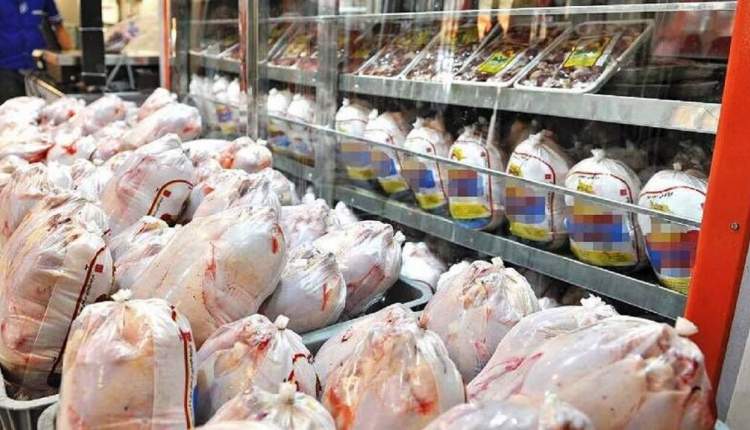 فروش مرغ زیر قیمت مصوب در چهارمحال و بختیاری/بیش از یک میلیون جوجه ریزی انجام شد