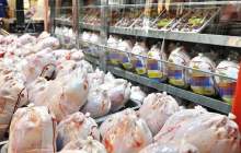 فروش مرغ زیر قیمت مصوب در چهارمحال و بختیاری/بیش از یک میلیون جوجه ریزی انجام شد
