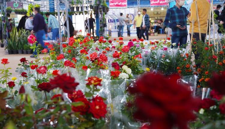 دومین نمایشگاه تخصصی گل در شهرکرد برگزار شد  