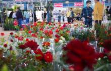 دومین نمایشگاه تخصصی گل در شهرکرد برگزار شد