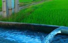 برق رایگان برای چاه های آب کشاورزی چهارمحال بختیاری در فصل تابستان