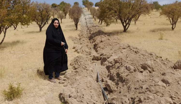 اجراي شبکه آبياري قطره اي در رستم آباد شهرستان اردل