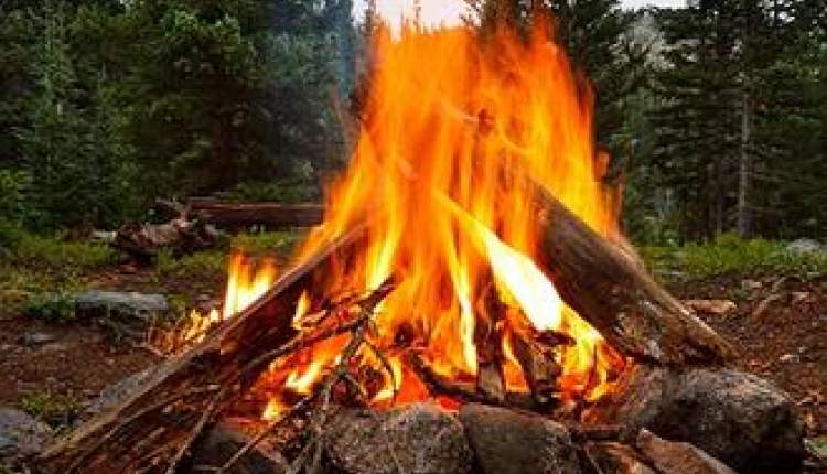 اطمینان از خاموش شدن آتش در طبیعت، یک جنگل را از نابودی نجات می‌دهد