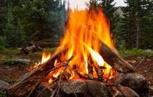 اطمینان از خاموش شدن آتش در طبیعت، یک جنگل را از نابودی نجات می‌دهد