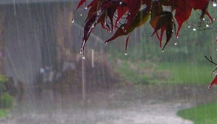 بارندگی تا روز پنجشنبه در چهارمحال و بختیاری ادامه دارد/ بیشترین بارش‌ها، سهم شهرستان کوهرنگ تا این لحظه