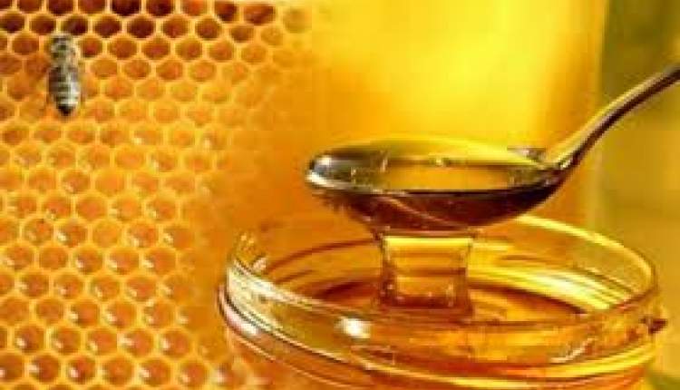 عسل؛ ماده ای طبیعی که معجزه می کند