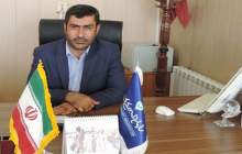 رعایت دوره پرهیز از مصرف آنتی‌بیوتیک در طیور، لازمه عرضه گوشت سالم به بازار