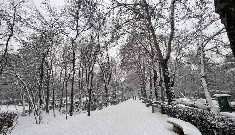 بارش برف در کوهرنگ به 70 سانتی‌متر رسید