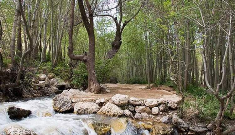 فارسان با طبیعت بکر، مناطق گردشگری و مذهبی پذیرای مسافران نوروزی