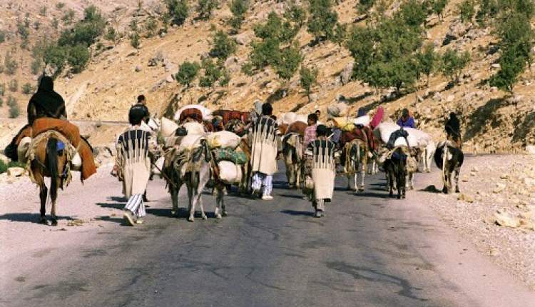 ایلراه عشایری نیاکان کوهرنگ تکمیل و احداث می‌شود