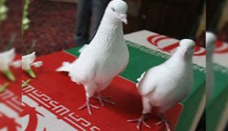 بیایید قدر این انقلاب كه با خون هزاران شهيد نقش بسته بدانيم