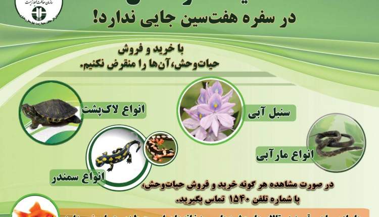 فروش غیرمجاز گونه‌های جانوری ممنوع است