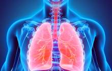 اجتناب و پرهیز، قانون کلی پیشگیری از آسم و آلرژی
