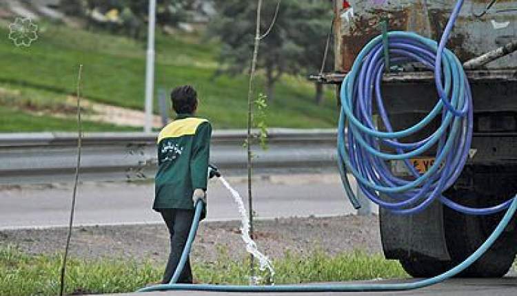فضای سبز شهرکرد درگیر بحران شدید آبی