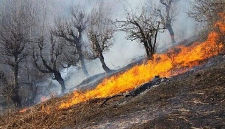 نقش اساسی انسان در اکثر آتش‌سوزی‌های جنگل و مراتع