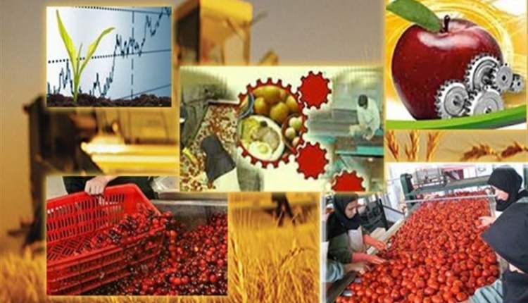 نبود صنایع‌تبدیلی، حلقه گمشده کشاورزی