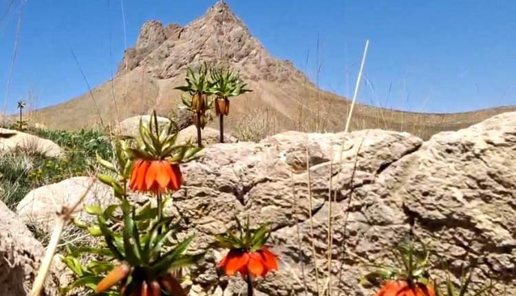 طبیعت زیبا چهارمحال‌وبختیاری  