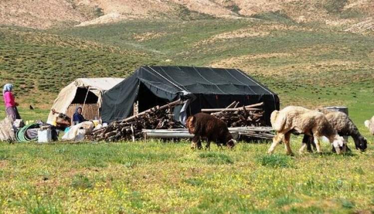 خشکسالی تهدیدی برای معیشت عشایر