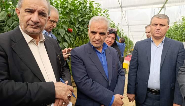 ضرورت تغییر کشت‌ها با آب‌‌بری کم