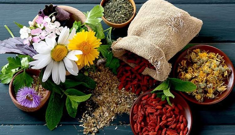 سرمایه‌گذاری در گیاهان دارویی فرصت اقتصادی مهم