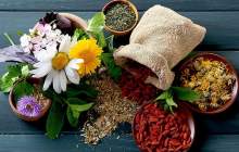 سرمایه‌گذاری در گیاهان دارویی فرصت اقتصادی مهم