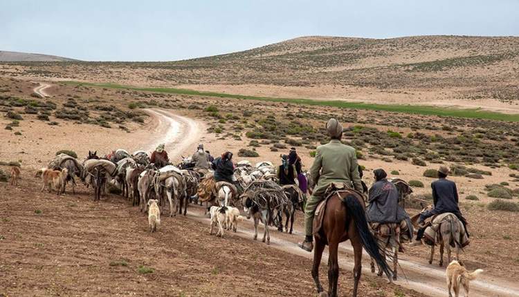 کوچ عشایر به چهارمحال و بختیاری