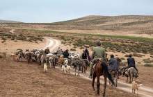 کوچ عشایر به چهارمحال و بختیاری