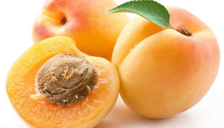 زردآلو؛ میوه‌ای طلایی با گنجینه‌ای از خواص دارویی