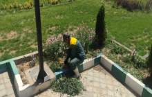 استمرا عملیات نگهداری فضاهای سبز شهرکرد