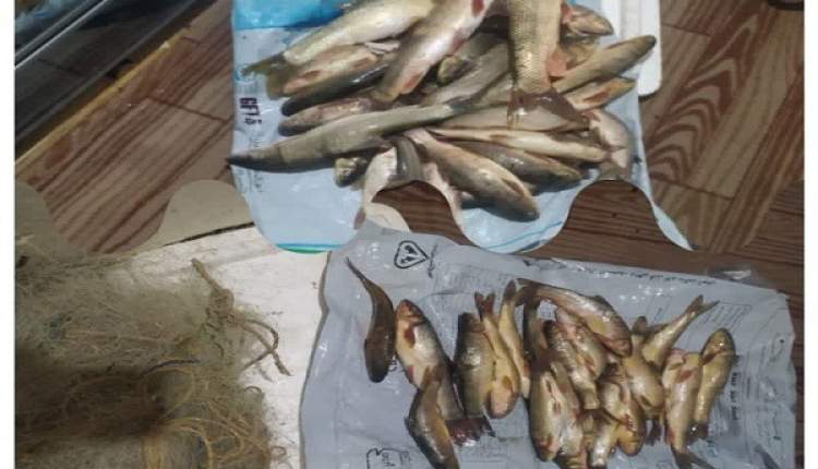 متخلفین صید غیرمجاز در کوهرنگ دستگیر شدند