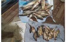 متخلفین صید غیرمجاز در کوهرنگ دستگیر شدند