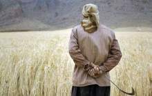 ناترازی انرژی، کشاورزی را تهدید می‌کند