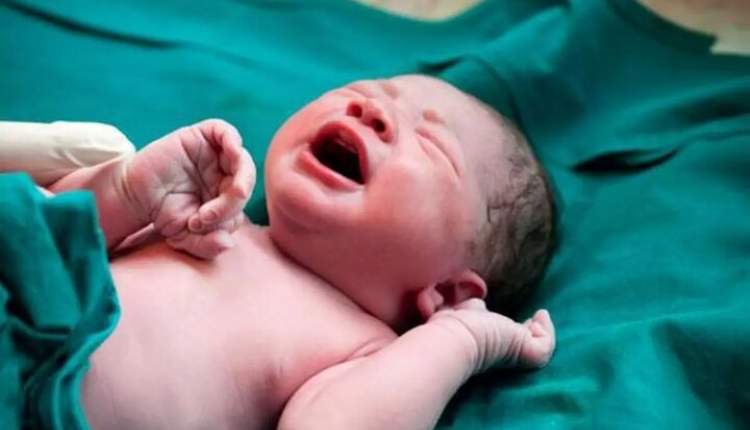 ثبت بیش از ۲۱۴ هزار ولادت در سال جاری