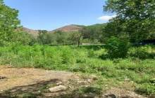 کشف و امحاء مزرعه کشت غیرمجاز شاهدانه